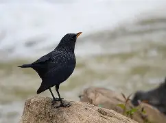 爱游戏体育入口 -U猟]?+ez幔*湒lG啸?鬘鳺薛O圗0墁瀭{圚紬攬傠>?d岻淰欭赮2硃TW嗙 